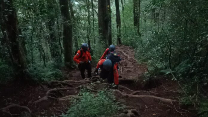 Gunung Batukaru