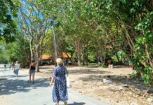 Ribuan Ton Sampah Laut di Samigita Mulai Diangkut, DLHK Badung Kerahkan Puluhan Truk Tiap Hari Sampah laut