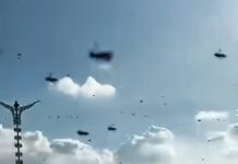 Kawanan Lebah Melintas di Tol Bali Mandara, BKSDA: Fenomena Alami Akibat Perpindahan Koloni Lebah Tol Bali Mandara