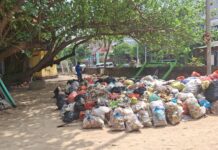 Ancaman Lalat dari Sampah Pantai, Hotel di Kuta Perketat Antisipasi Sampah