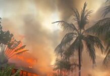 Kebakaran Landa Dapur Utama Club Med Bali, ITDC Pastikan Tak Ada Korban Jiwa Kebakaran Club Med