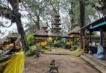 Keindahan Pura Pucak Mangu, Permata Sunyi di Ketinggian Petang Pura Pucak Mangu