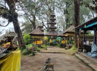 Keindahan Pura Pucak Mangu, Permata Sunyi di Ketinggian Petang Pura Pucak Mangu