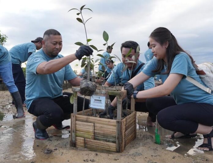 Mangrove