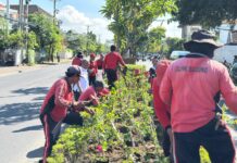 Tanaman Median Jalan Bypass Ngurah Rai Jimbaran Berganti, Dari Lee Kwan Yue ke Bougenville Median Bypass Ngurah Rai