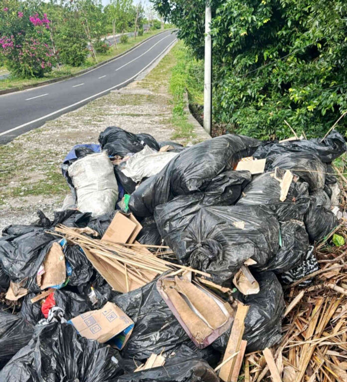 Pembuangan sampah liar