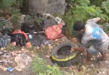 Tertangkap Basah Buang Ban Bekas di Mangrove Jimbaran, Pelaku Diberi Ultimatum Pembuangan sampah liar