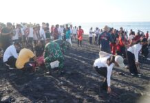 Peringati Bulan Bung Karno VIII, Pemkab Klungkung Gelar Aksi Bersih Pantai di Kusamba Klungkung