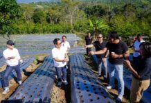 Bupati dan Wabup Badung Genjot Potensi Kopi di Agro Techno Park Petang Agro Techno Park