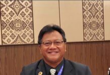 Fasilitas PPh Final 0,5% Berakhir, Prof. Raka Suardana: Waspadai Risiko Hambat Ekspansi UMKM PPh