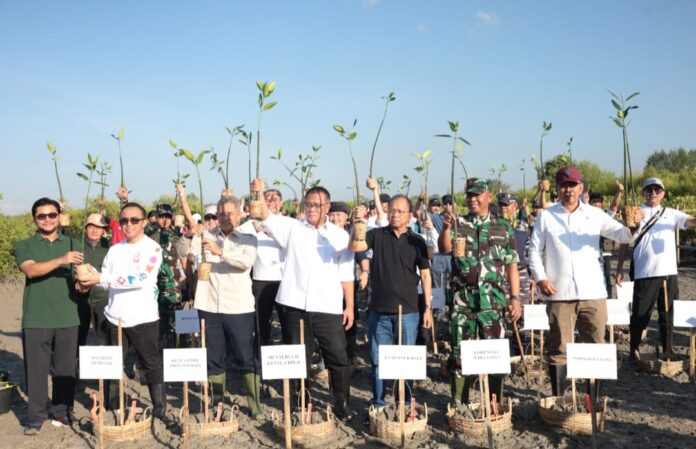 Mangrove