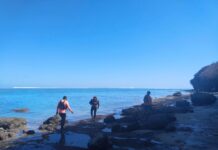 Dua Buruh Asal Jember Hilang Terseret Arus di Pantai Greenbowl, Pencarian Libatkan Drone Thermal dan AquaEye Hilang di Pantai Greenbowl