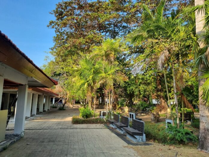 Bali Collection