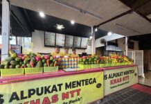 Transaksi Makin Praktis, QRIS BRI Dorong Penjualan Fruit Junkies di Denpasar Fruit Junkies