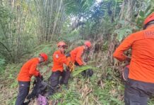 Pencarian Lansia Diduga Terjatuh ke Jurang di Bangli Dihentikan, Korban Belum Ditemukan Terjatuh ke jurang