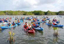 Hari Mangrove Sedunia 2026, Pemerintah Tanam Lebih dari Satu Juta Bibit di 37 Provinsi Hari Mangrove Sedunia