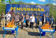 Rokok dan Minuman Beralkohol Ilegal Dominasi Pelanggaran Sektor Cukai di Bali Nusra Cukai