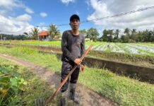 KUR BRI Perkuat Daya Tahan Petani Bunga Pacah Hadapi Gejolak Harga dan Cuaca KUR BRI