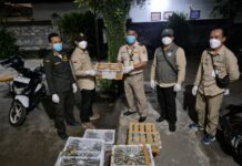 Ratusan Burung Ilegal Digagalkan Masuk Bali, Karantina Amankan 482 Ekor di Pelabuhan Padangbai Burung ilegal