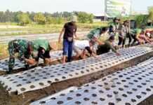 Distan Gianyar Dorong Pengembangan Bawang Merah untuk Perkuat Ketahanan Pangan Bawang merah