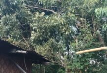 Dampak Gempa NTT, Belasan Orang Meninggal dan Ribuan Warga Mengungsi Gempa NTT
