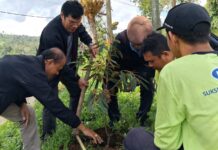 Undiksha Padukan Reforestasi dan Pengolahan Kopi untuk Dorong Ekonomi Hijau di Bangli Undiksha