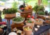 Weekend Bazaar Hadirkan Pilihan Sarapan Segar di Holiday Inn Bali Sanur Holiday Inn Bali Sanur