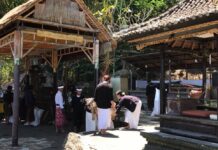 Jelang Karya di Pura Hulundanu Batur, Semangat Ngayah Krama Songan Kian Menguat Pura Hulundanu Batur