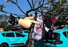 Jemuran di Pohon Kamboja Sentral Parkir Kuta Ditertibkan Sentral Parkir Kuta
