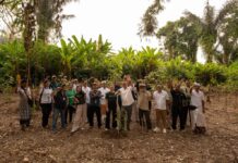 Seratus Pohon Ditanam di Kawasan Pura Batukaru, Reforestasi Bali Tak Berhenti di Penanaman Batukaru