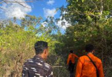 Tim SAR Cari Lansia 79 Tahun yang Hilang di Nusa Penida