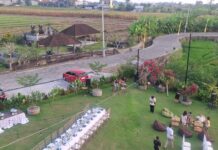 Maha Kopi Bali, Tempat Ngopi Estetik dengan Panorama Persawahan dan Pantai Kelating Maha Kopi Bali
