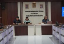 Dorong Perkembangan Ekonomi Daerah, Pemkab Buleleng Susun Peta Potensi Investasi Peta potensi investasi