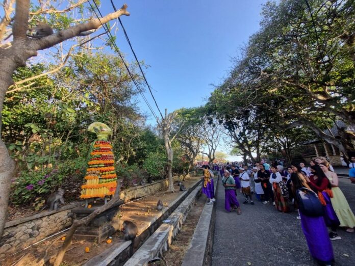 Tumpek Uye Uluwatu