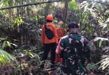 Sehari Tak Pulang dari Ladang, Lansia 83 Tahun di Jembrana Ditemukan di Jurang Lansia jurang