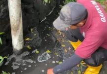 Viral Dugaan Limbah Hitam Cemari Sungai di Cemagi, DLHK Badung Beri Sejumlah Rekomendasi Limbah di Cemagi