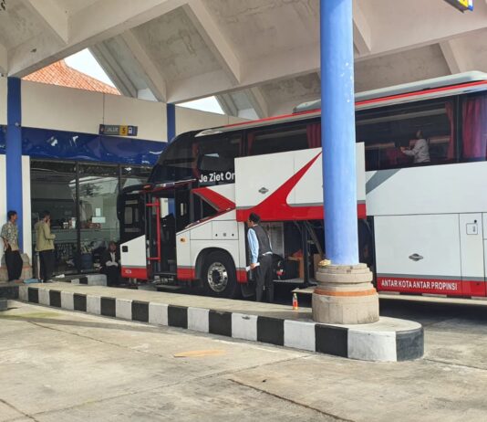 Pembatalan Penerbangan Denpasar-Jakarta, Penumpang di Terminal Mengwi Melonjak 34 Persen Terminal Mengwi