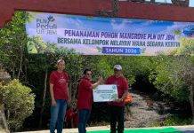 Keberhasilan Tanam Mangrove Capai 99 Persen, PLN Tambah 16.500 Bibit di Kedonganan Mangrove Kedonganan