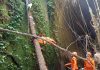 Terjatuh ke Jurang 45 Meter, Lansia di Sidemen Meninggal Lansia terjatuh ke jurang