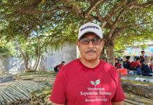 Dampak Krisis BBM, Aktivitas Nelayan Kedonganan Vakum Krisis BBM