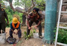 Hingga November 2026, Tim Yustisi Badung Targetkan Bongkar 15 Tiang BTS Pembongkaran tiang BTS