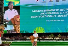 Dorong Transisi Energi Bersih, Koster Moratorium Pembangkit Fosil dan Siapkan 1.000 MW PLTS di Bali PLTS Bali
