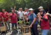 Mengintip Sistem Rumpun Berjarak, Cara Nelayan Wana Segara Kertih Kedonganan Jaga Mangrove Tetap Hidup Mangrove Kedonganan