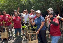 Mengintip Sistem Rumpun Berjarak, Cara Nelayan Wana Segara Kertih Kedonganan Jaga Mangrove Tetap Hidup Mangrove Kedonganan