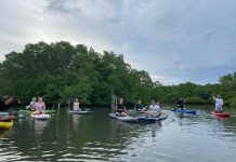 Berawal dari Keprihatinan terhadap Sampah, Nelayan Wana Segara Kertih Kembangkan Ekowisata Mangrove Ekowisata mangrove Kedonganan
