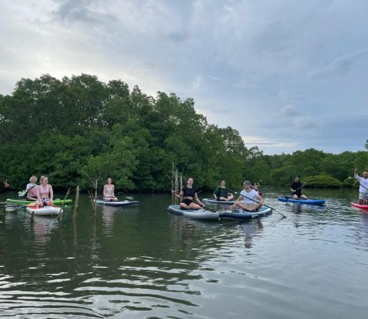 Berawal dari Keprihatinan terhadap Sampah, Nelayan Wana Segara Kertih Kembangkan Ekowisata Mangrove Ekowisata mangrove Kedonganan